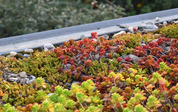 the cost of Coed Eva green roof installation