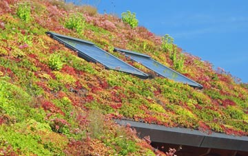 Coed Eva living roof systems