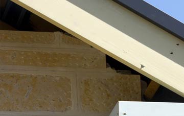 soffit repair Coed Eva