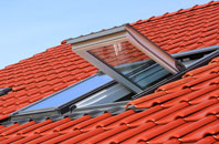 Coed Eva roof window